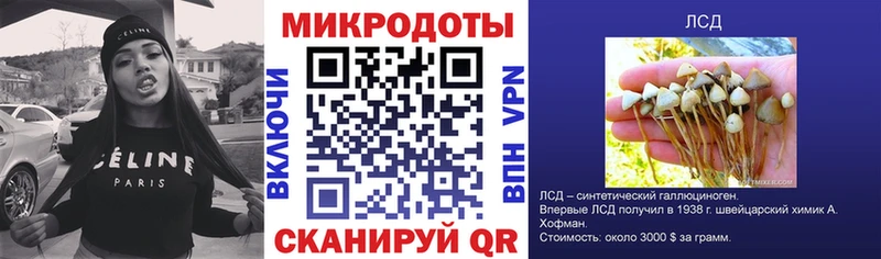 Галлюциногенные грибы GOLDEN TEACHER  наркотики  Котлас 
