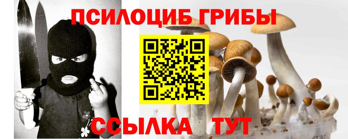 Галлюциногенные грибы мицелий Котлас